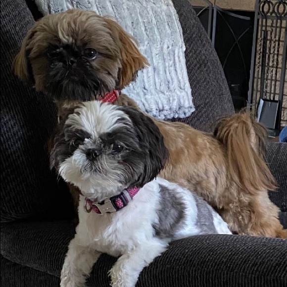 Meet your Posher, Melissa - Picture 3 of 3